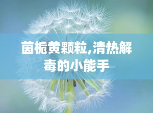 茵栀黄颗粒,清热解毒的小能手