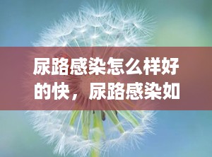 尿路感染怎么样好的快，尿路感染如何自愈