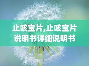 止咳宝片,止咳宝片说明书详细说明书