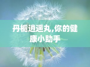 丹栀逍遥丸,你的健康小助手