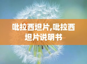 吡拉西坦片,吡拉西坦片说明书