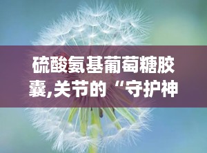 硫酸氨基葡萄糖胶囊,关节的“守护神”