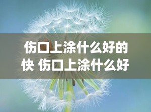 伤口上涂什么好的快 伤口上涂什么好的快一点