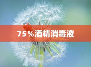 75％酒精消毒液