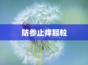 防参止痒颗粒