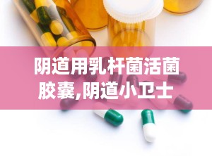 阴道用乳杆菌活菌胶囊,阴道小卫士