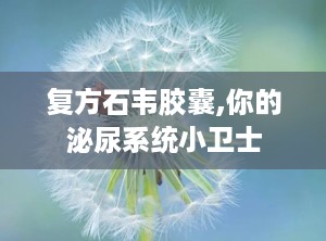 复方石韦胶囊,你的泌尿系统小卫士