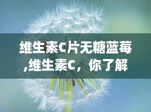 维生素C片无糖蓝莓,维生素C，你了解多少？