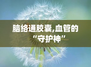 脑络通胶囊,血管的“守护神”