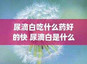 尿滴白吃什么药好的快 尿滴白是什么原因