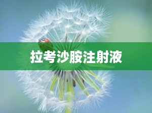 拉考沙胺注射液