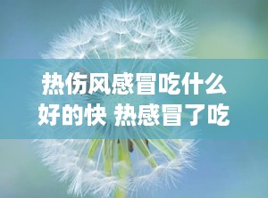 热伤风感冒吃什么好的快 热感冒了吃什么好得快