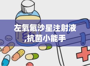 左氧氟沙星注射液,抗菌小能手