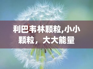 利巴韦林颗粒,小小颗粒，大大能量