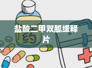 盐酸二甲双胍缓释片