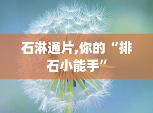 石淋通片,你的“排石小能手”