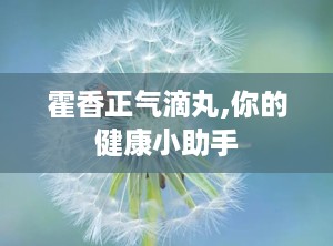 霍香正气滴丸,你的健康小助手