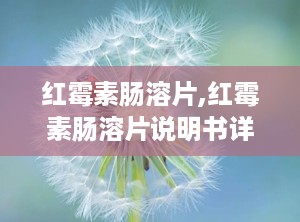 红霉素肠溶片,红霉素肠溶片说明书详细说明书