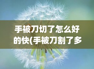 手被刀切了怎么好的快(手被刀割了多久能愈合)