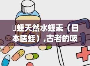 龍蛭天然水蛭素（日本医蛭）,古老的吸血者