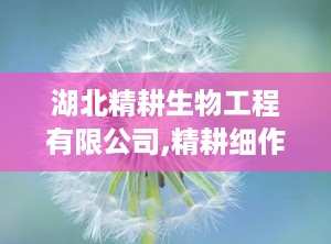 湖北精耕生物工程有限公司,精耕细作，匠心独运