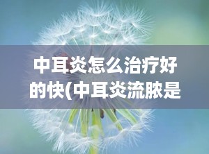 中耳炎怎么治疗好的快(中耳炎流脓是快好了吗)