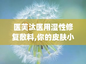 医芙汰医用湿性修复敷料,你的皮肤小卫士