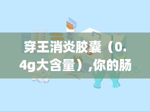 穿王消炎胶囊（0.4g大含量）,你的肠胃守护神