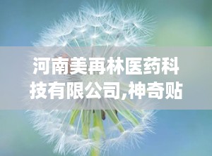 河南美再林医药科技有限公司,神奇贴剂，解你燃眉之急