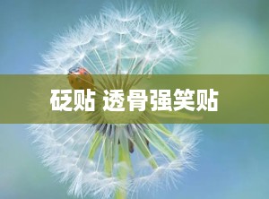 砭贴 透骨强笑贴