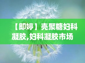 【即婷】壳聚糖妇科凝胶,妇科凝胶市场已经被国家叫停