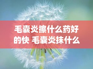 毛囊炎擦什么药好的快 毛囊炎抹什么药啊