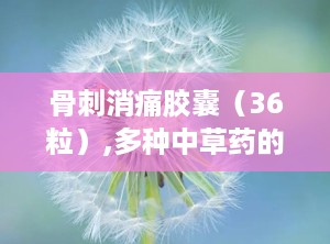 骨刺消痛胶囊（36粒）,多种中草药的完美融合