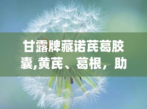 甘露牌藏诺芪葛胶囊,黄芪、葛根，助力关节健康