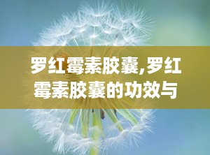 罗红霉素胶囊,罗红霉素胶囊的功效与作用一天吃几粒