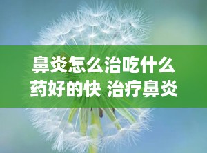 鼻炎怎么治吃什么药好的快 治疗鼻炎吃什么药