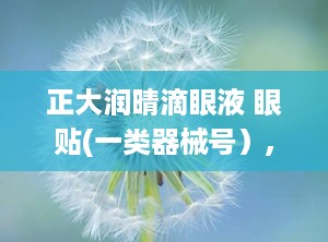 正大润晴滴眼液 眼贴(一类器械号）,滋润你的双眼