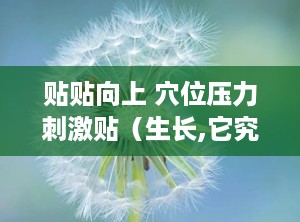 贴贴向上 穴位压力刺激贴（生长,它究竟是什么？