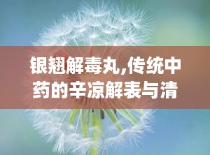 银翘解毒丸,传统中药的辛凉解表与清热解毒之道