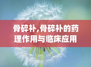 骨碎补,骨碎补的药理作用与临床应用解析