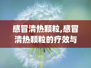 感冒清热颗粒,感冒清热颗粒的疗效与使用指南