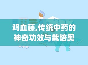 鸡血藤,传统中药的神奇功效与栽培奥秘