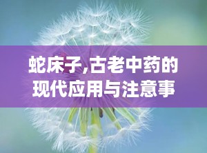 蛇床子,古老中药的现代应用与注意事项