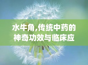 水牛角,传统中药的神奇功效与临床应用解析