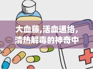 大血藤,活血通络，清热解毒的神奇中药