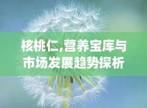 核桃仁,营养宝库与市场发展趋势探析