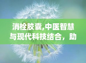 消栓胶囊,中医智慧与现代科技结合，助力中风康复之路