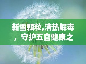 新雪颗粒,清热解毒，守护五官健康之选