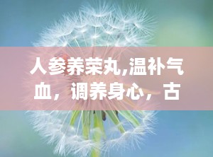 人参养荣丸,温补气血，调养身心，古方今用的养生瑰宝