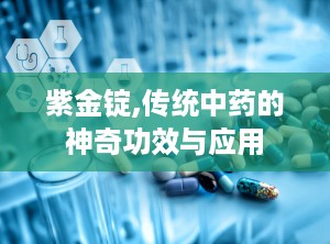 紫金锭,传统中药的神奇功效与应用